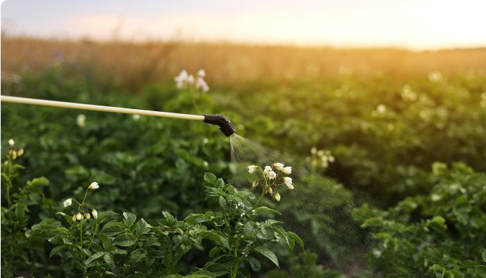 agrochemicals